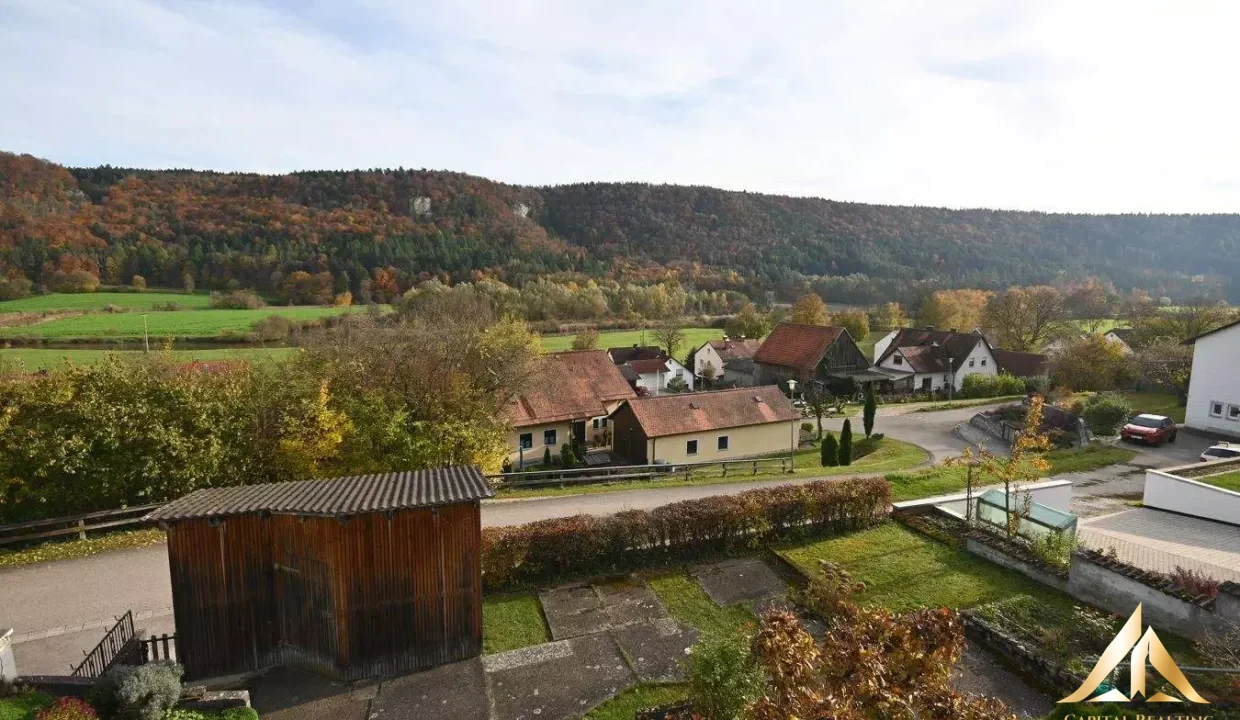 133f0dd2-a063-4f84-a019-a83f15847577