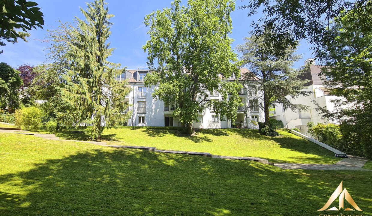 Maulbertschgasse-7-Bild-20240618-114817