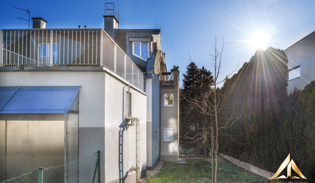 Maulbertschgasse-7-Bild-Maulbertschgasse7-1190Wien-4