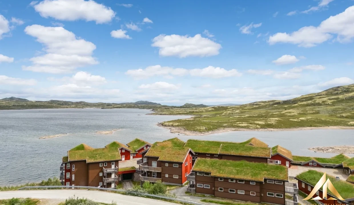 property-image-ece97ee9-bb41-4354-9070-9988c128403a-1754735064