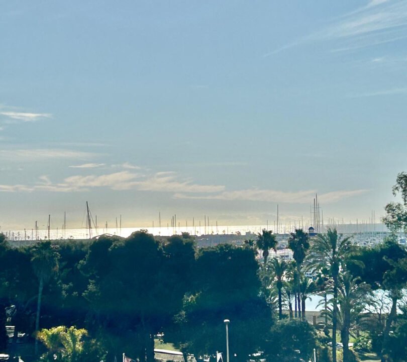 3b20DjF7Uo_1_1740747175-fullHD