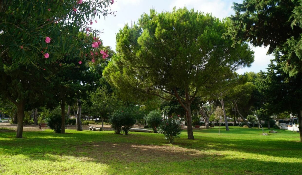 CNOCsrjdK03C_1695399707-fullHD