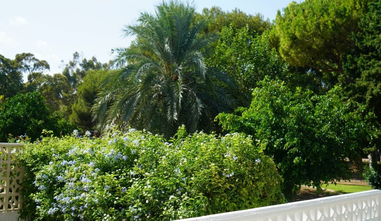 DmfNOYiDAh13_1695399707-fullHD