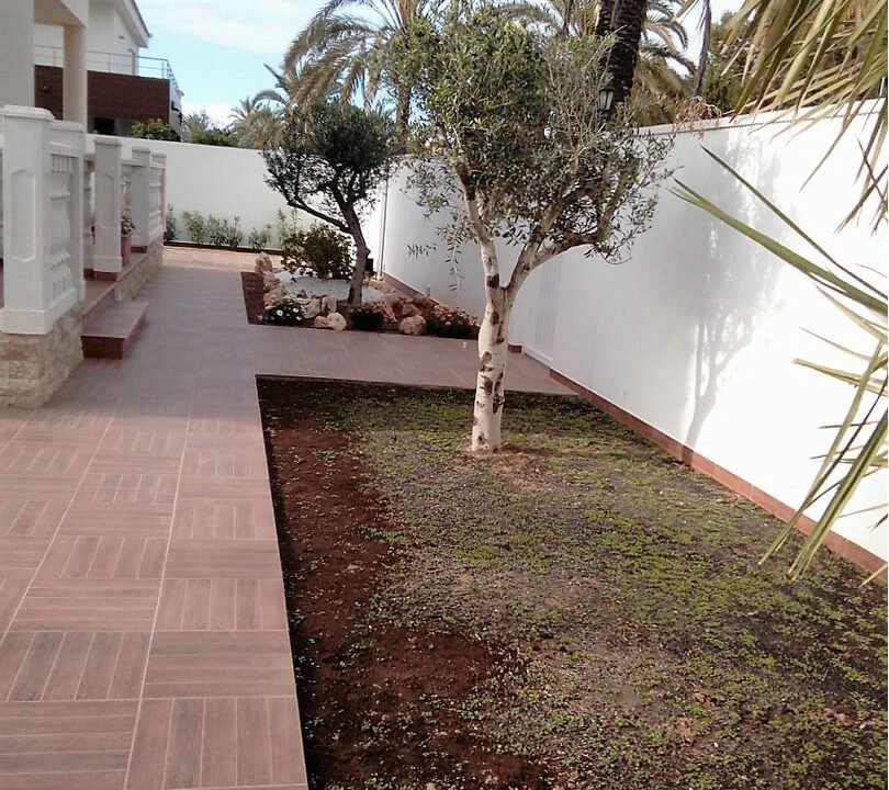 E_8IqSxH4E77_1616514951-fullHD