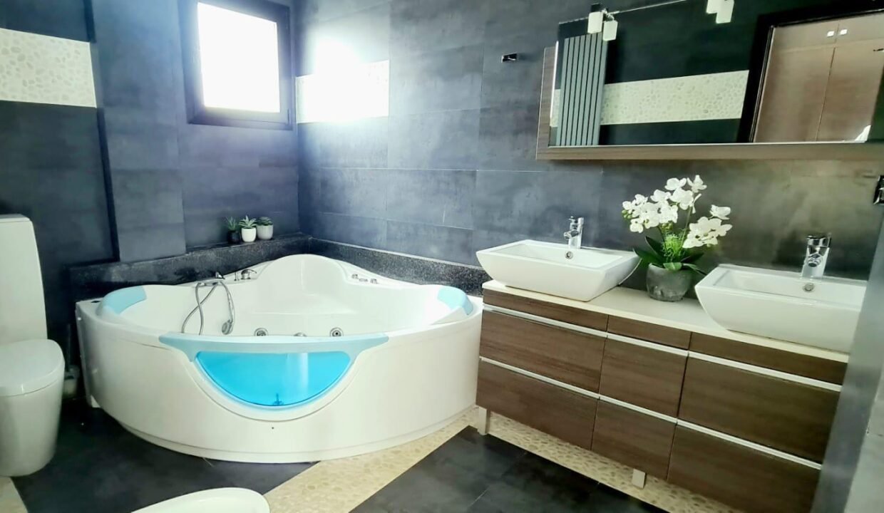 FFdBUD6kHe1i_1732889819-fullHD