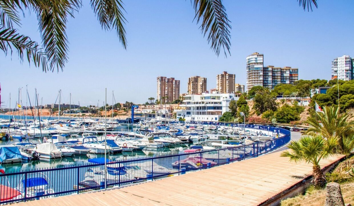 _JwmYS-x_vP_1704974724-fullHD