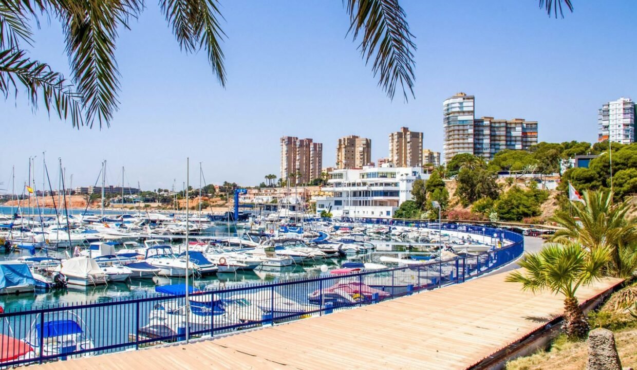 K1_Xja31EtbO_1709034151-fullHD