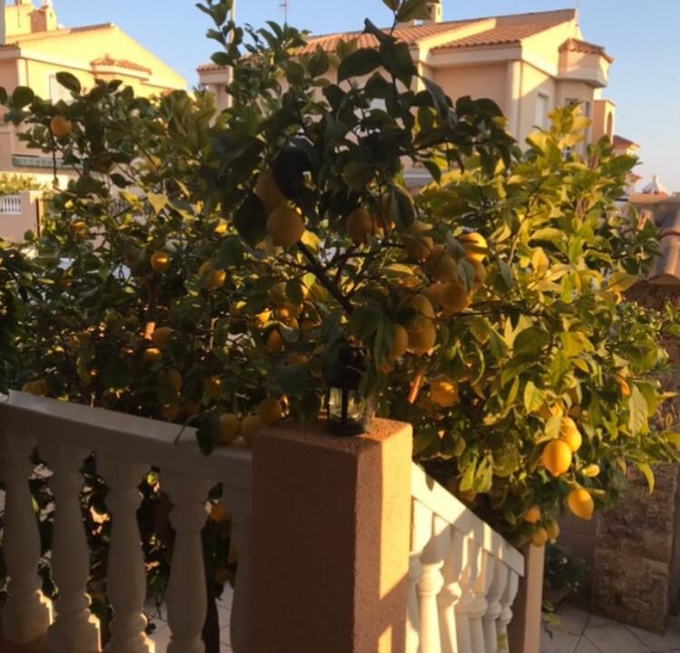 Mr_StgEqPTZ0_1736437975-fullHD