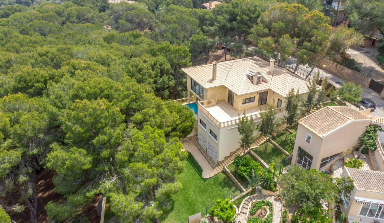 R5fpeb5jPlG__1710493542-fullHD