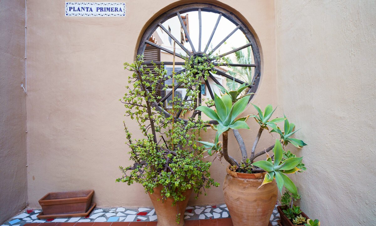 cHcGKAOYlXoi_1717768642-fullHD