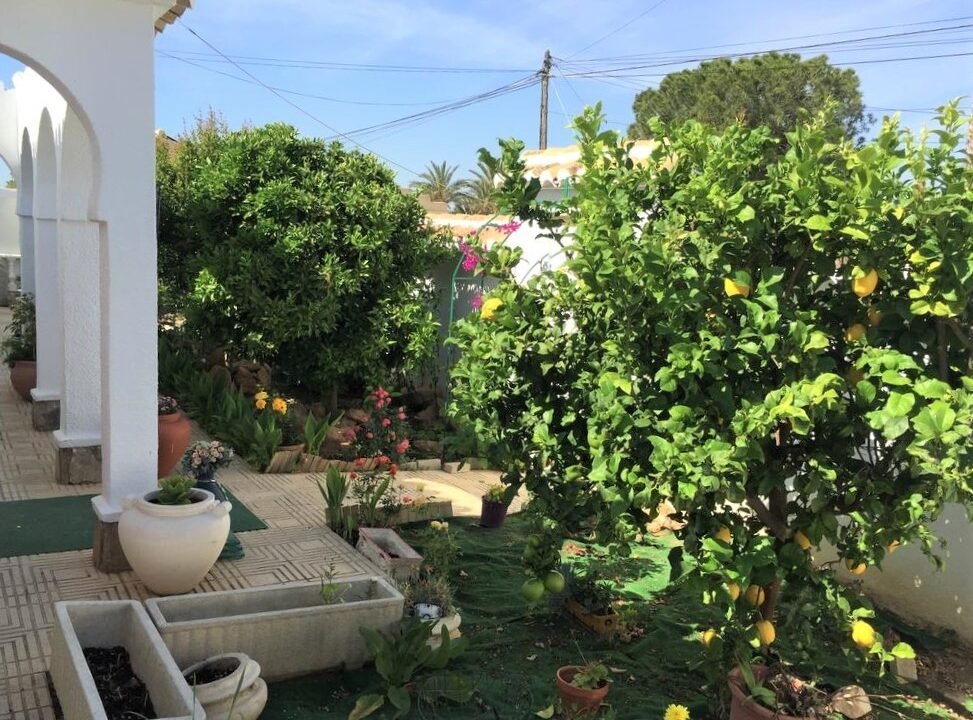 qoR23_T0M5C-_1596727275-fullHD