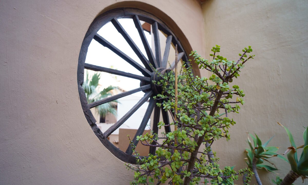 txl5gwKtcLAd_1717768642-fullHD