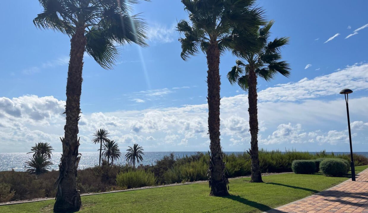 zWMBDyKN9D8__1742468503-fullHD