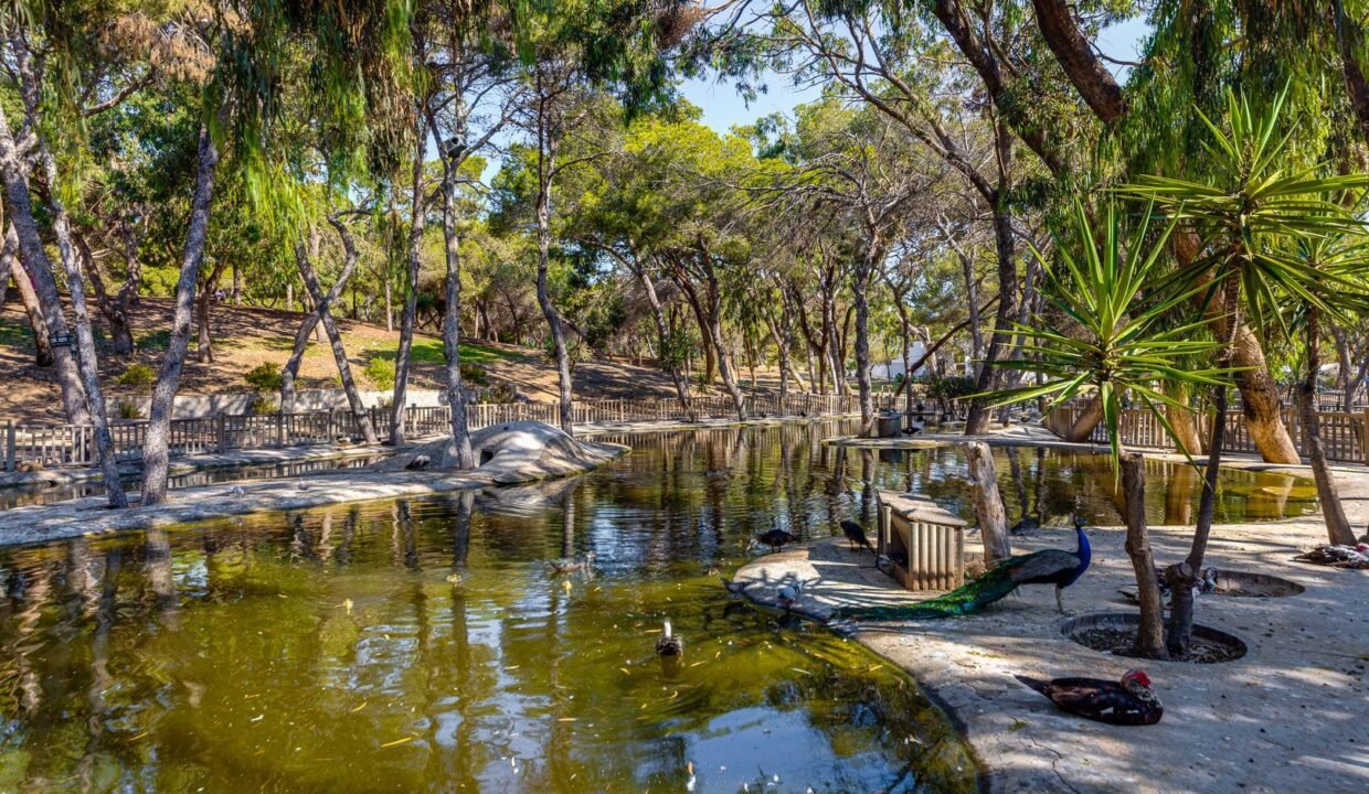 zcvbRKRwO8RQ_1729769197-fullHD