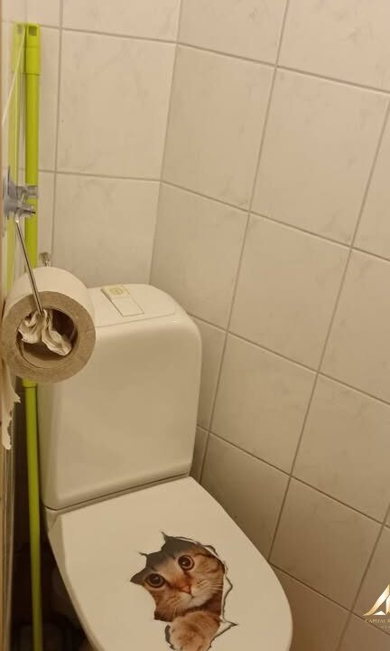 572025720_849699164404557_7156324798677216782_n