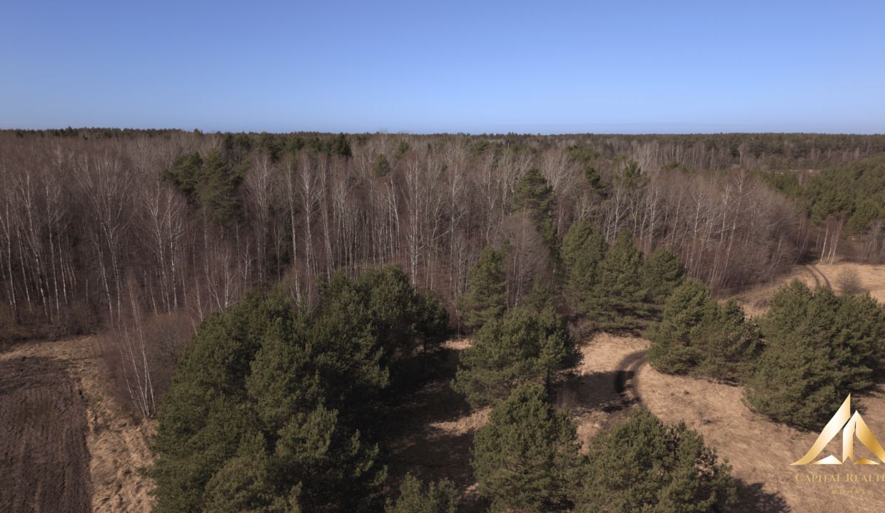 DJI_20260327060156_0162_D (1)